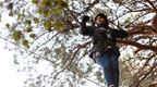 Woman in black on Treetop Challenge at Go Ape Battersea